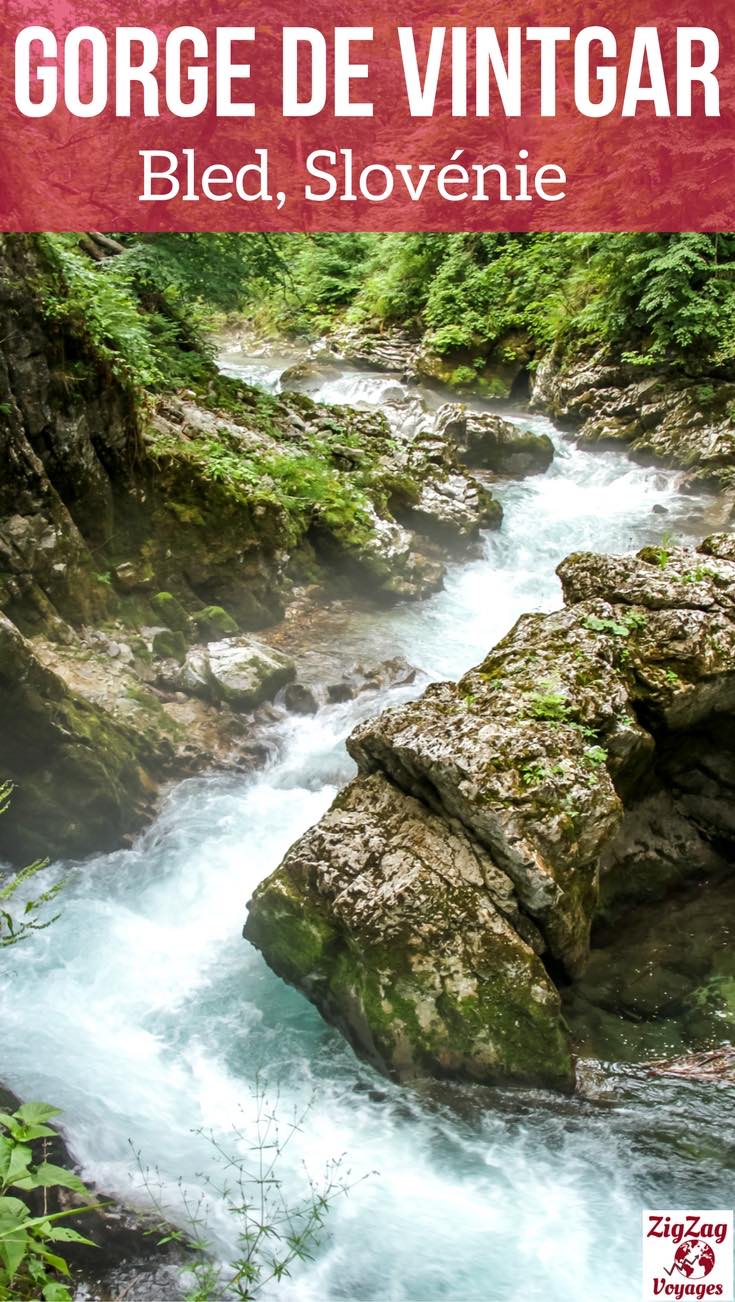 Pin Marche Gorge de Vintgar Slovenie Voyage Pin Marche Gorge de Vintgar Slovenie Voyage