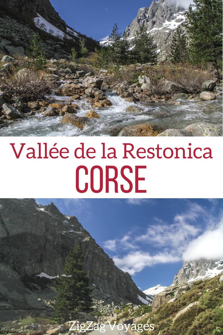Pin Vallee de la Restonica Corse Voyage Pin Vallee de la Restonica Corse Voyage