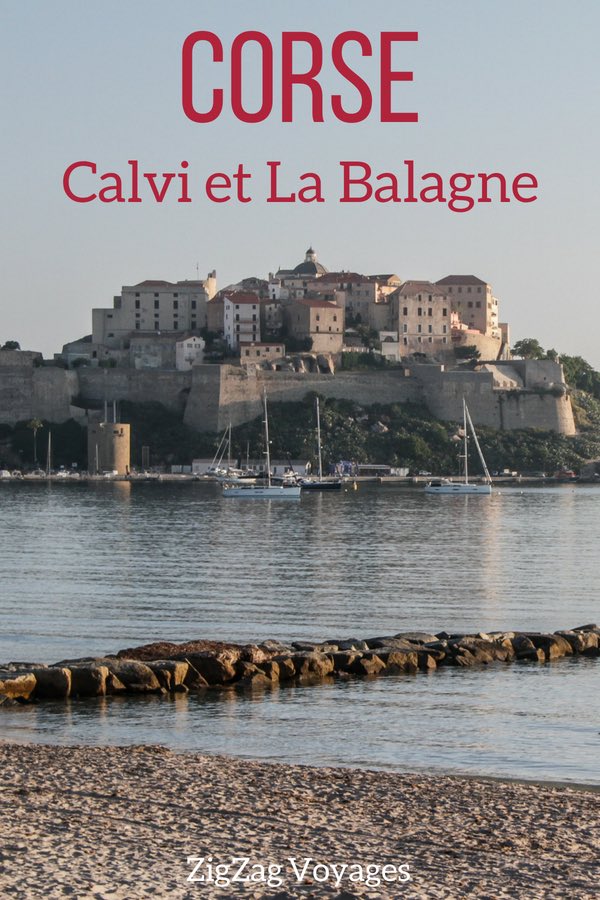 Pin que faire a Calvi - la Balagne Corse voyage Pin que faire a Calvi - la Balagne Corse voyage