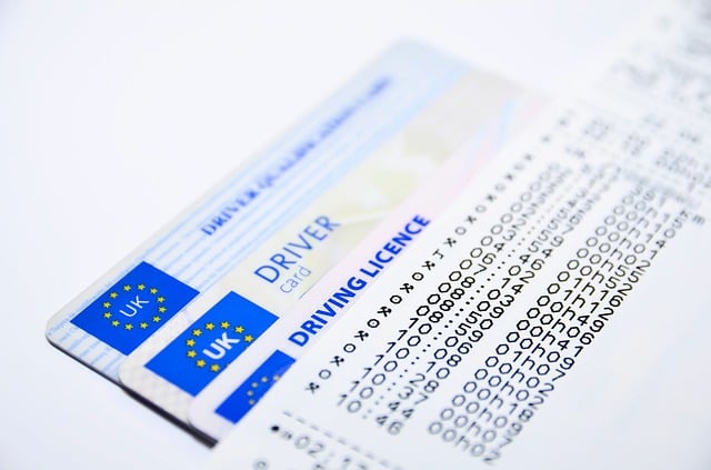 Permis de conduire Permis de conduire