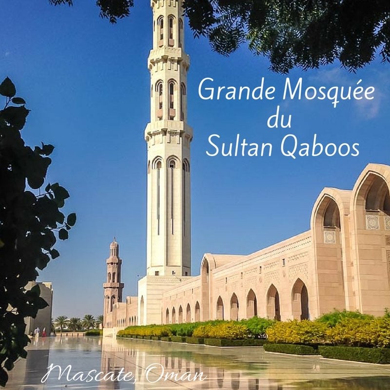 Grande mosquée du Sultan Qaboos Mascate Oman 2