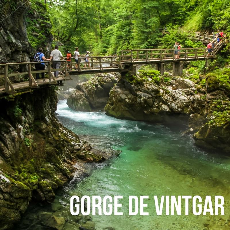 Marche Gorge de Vintgar Slovenie Voyage 2