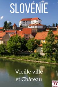 https://zigzagvoyages.fr/wp-content/uploads/2018/02/Visiter-Ptuj-Slovenie.jpg