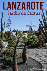 Pin jardin de cactus Lanzarote voyage iles canaries