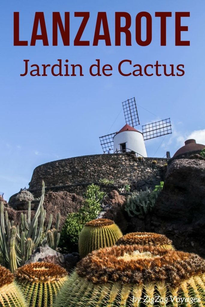 Jardin de Cactus (Lanzarote) Photos + Conseils pratiques