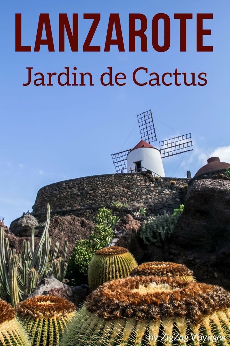 jardin de cactus Lanzarote voyage iles canaries