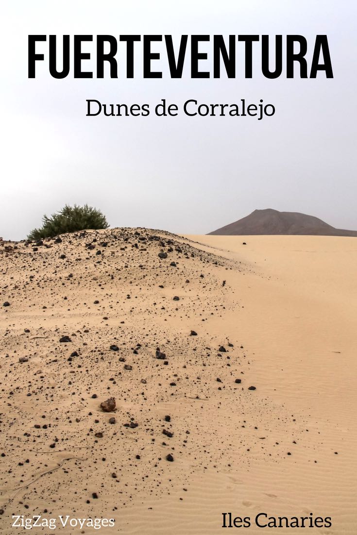 Pin Dunes de Corralejo Fuerteventura voyage iles canaries