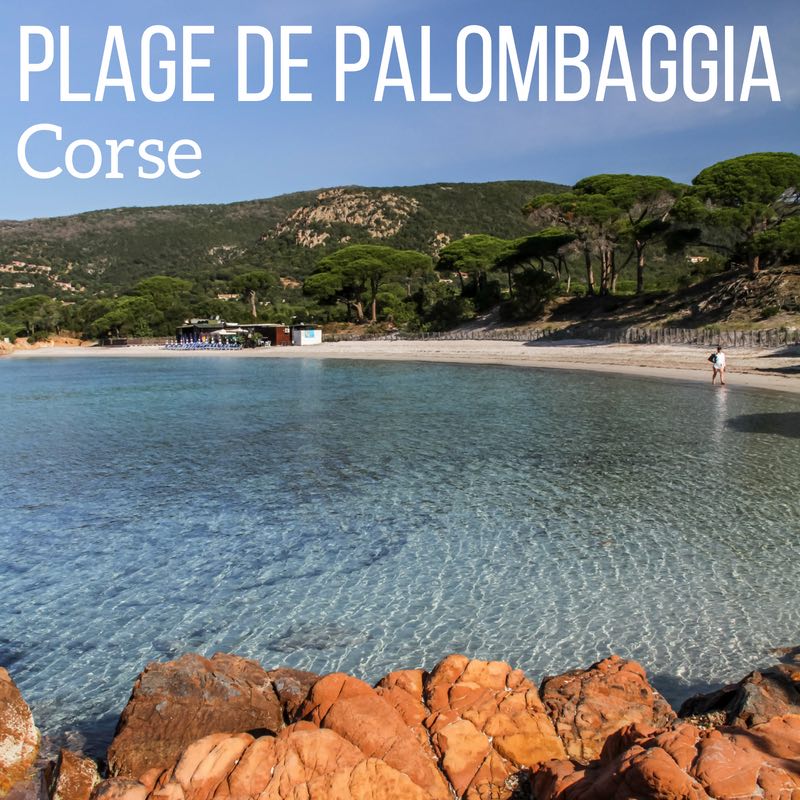 plage de palombaggia Corse voyage guide