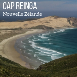 Cap Reinga Nouvelle Zelande Voyage guide