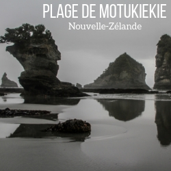 Plage de Motukiekie Beach Nouvelle Zelande Voyage guide