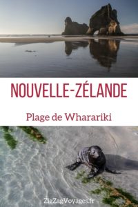 Plage de Wharariki beach Nouvelle Zelande Voyage Pin