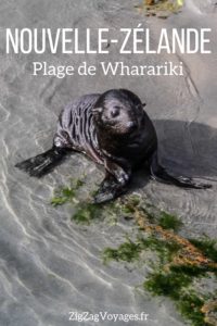 Plage de Wharariki beach Nouvelle Zelande Voyage Pin2