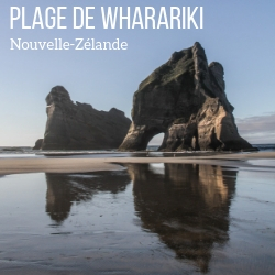 Plage de Wharariki beach Nouvelle Zelande Voyage guide
