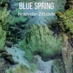 Blue Spring Nouvelle Zelande voyage Guide