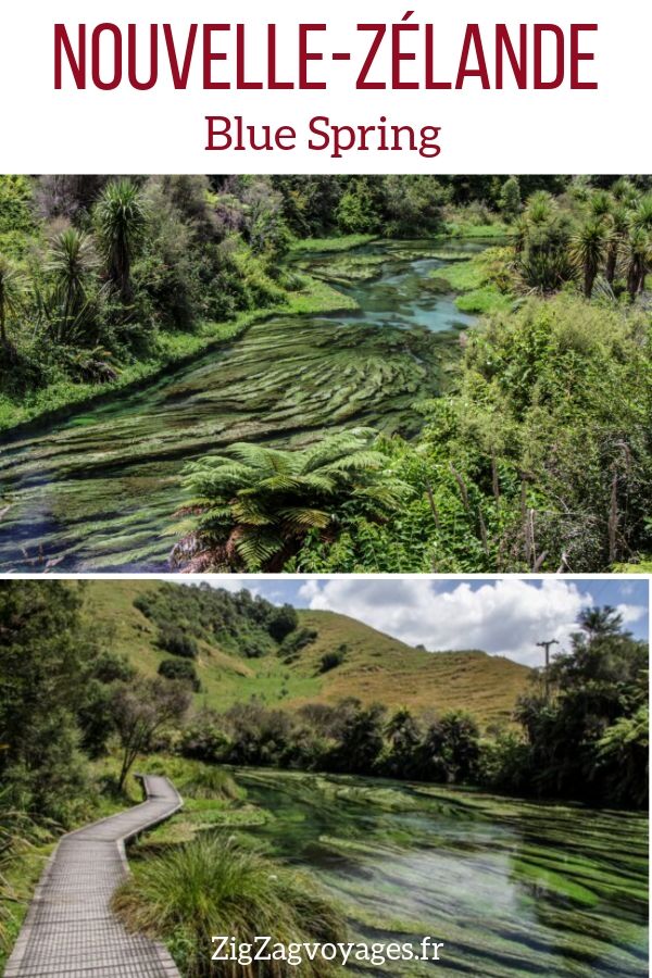 Visiter Blue Spring (Rotorua, Nouvelle-Zélande) - Conseils + Photos