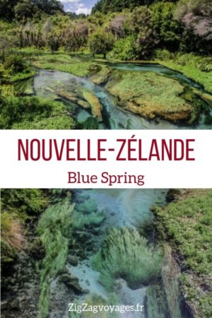 Putaruru Blue Spring Nouvelle Zelande voyage Pin2