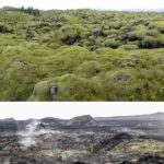 Champs de lave Islande voyage