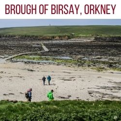 Brough of Birsay Orkney Ecosse