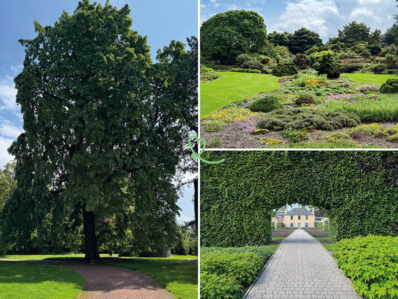 visiter royal botanic garden edimbourg